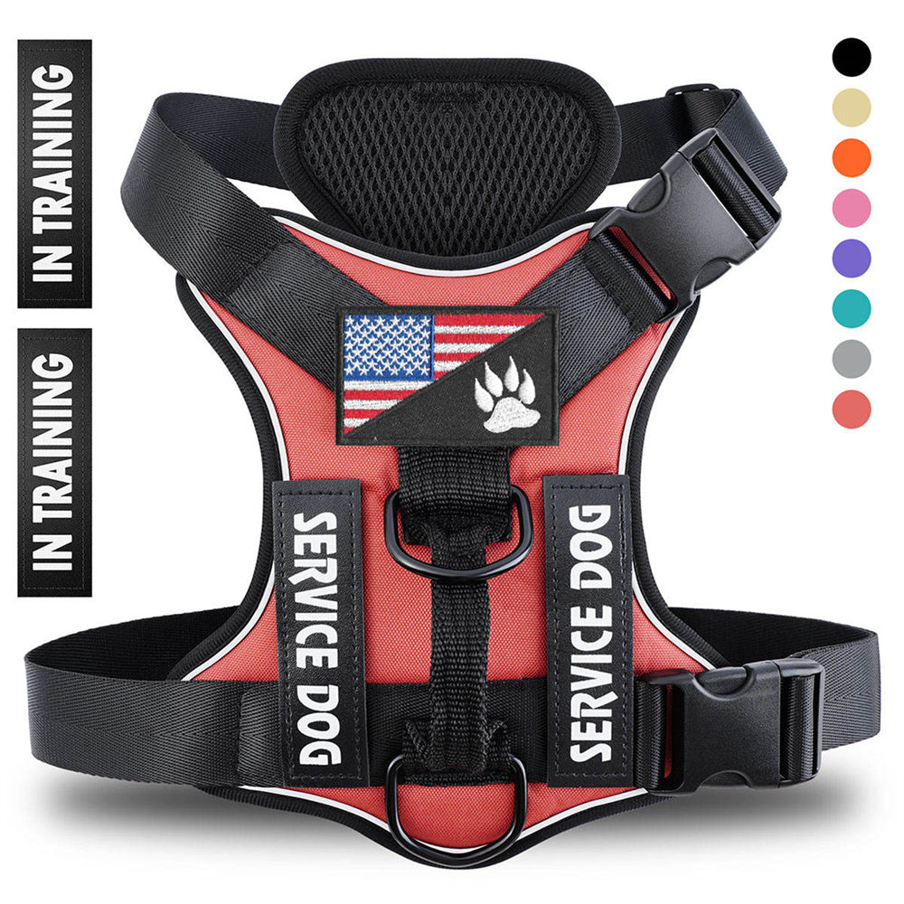 Web Based Reflective Breathable Solid Color Polyester Dog Strap