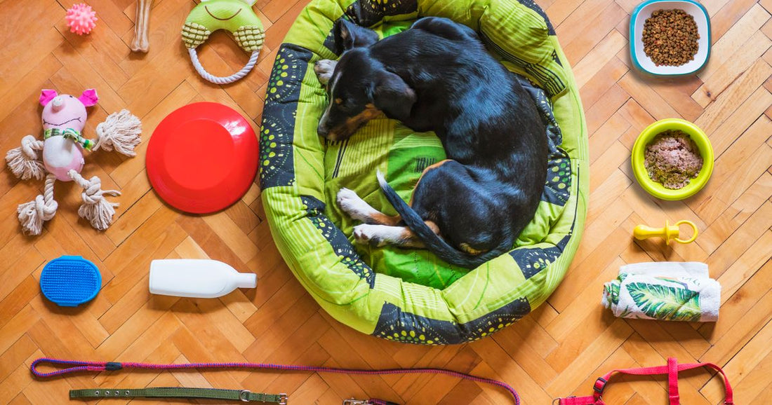 Best Wholesale Pet Accessories & Toys 2026: Top 5 Ranked