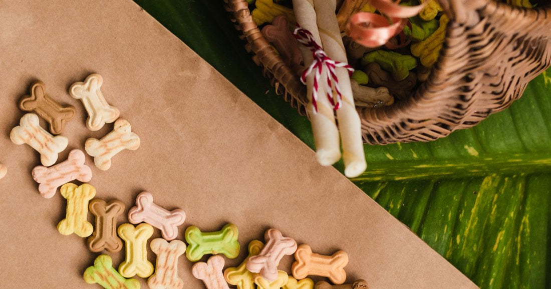 Best Bulk Pet Treats & Accessories 2026: Top 5 Ranked