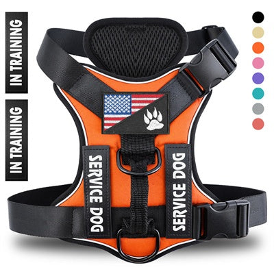 Web Based Reflective Breathable Solid Color Polyester Dog Strap
