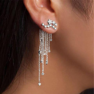 WebBased Shining Star Tassel Earrings Back Hanging Exquisite Earrings