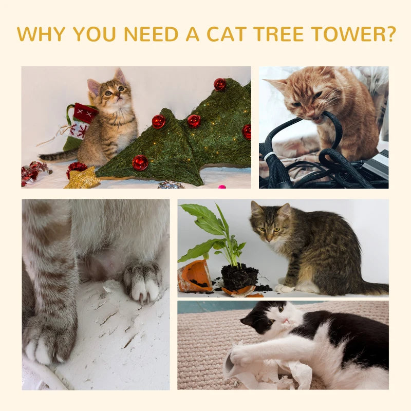 Web Based PawHut Floor-to-Ceiling Cat Tree Cat Climbing Tower With Sisal-Covered Scratching Posts Natural Cat Tree Activity Center For Kittens Cat Tower Furniture, Grey