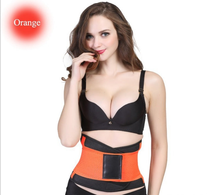 Web Based Women's Sports Slimming Plastic Belt