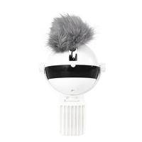 Web Based Pet Cat Toy Electronic Motion Cat Toy Interactive