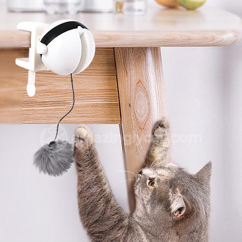 Web Based Pet Cat Toy Electronic Motion Cat Toy Interactive
