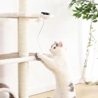 Web Based Pet Cat Toy Electronic Motion Cat Toy Interactive