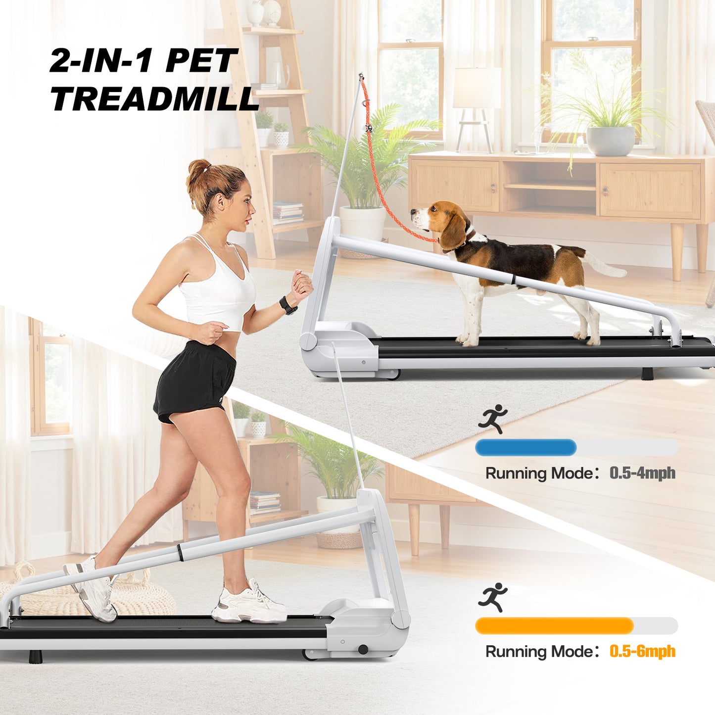 Web Based New Quiet Smart Pet Treadmill, Adjustable Speed, Perfect For Small Medium Dogs