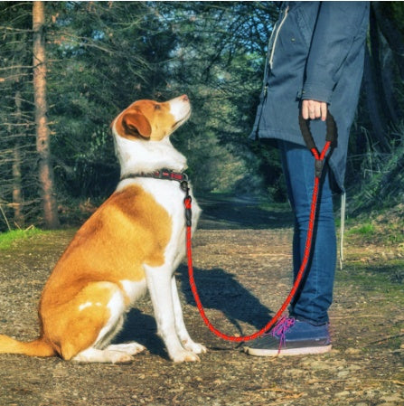 Web Based Reflective Dog Leash Nylon Pet Dog Leash Rope For Small Medium Large Dogs Walking Training Pet Suppiles