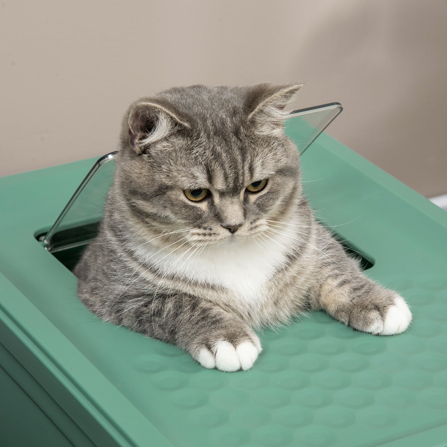 Web Based Fully Enclosed Cat Litter Box with Front Entry and Top Exit, Plastic, Green & White