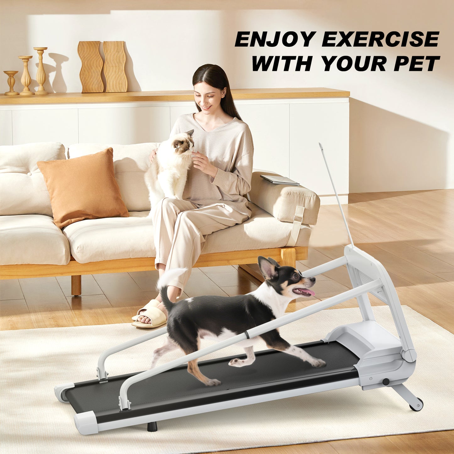 Web Based New Quiet Smart Pet Treadmill, Adjustable Speed, Perfect For Small Medium Dogs