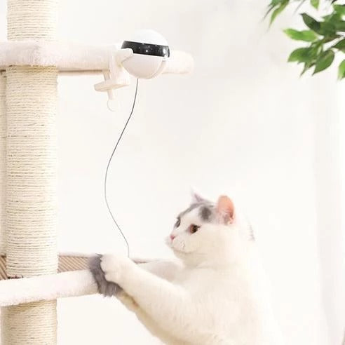 Web Based Pet Cat Toy Electronic Motion Cat Toy Interactive