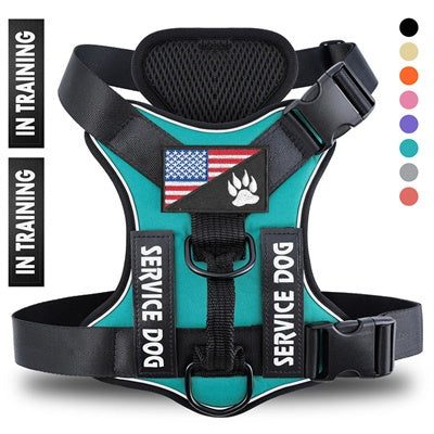 Web Based Reflective Breathable Solid Color Polyester Dog Strap