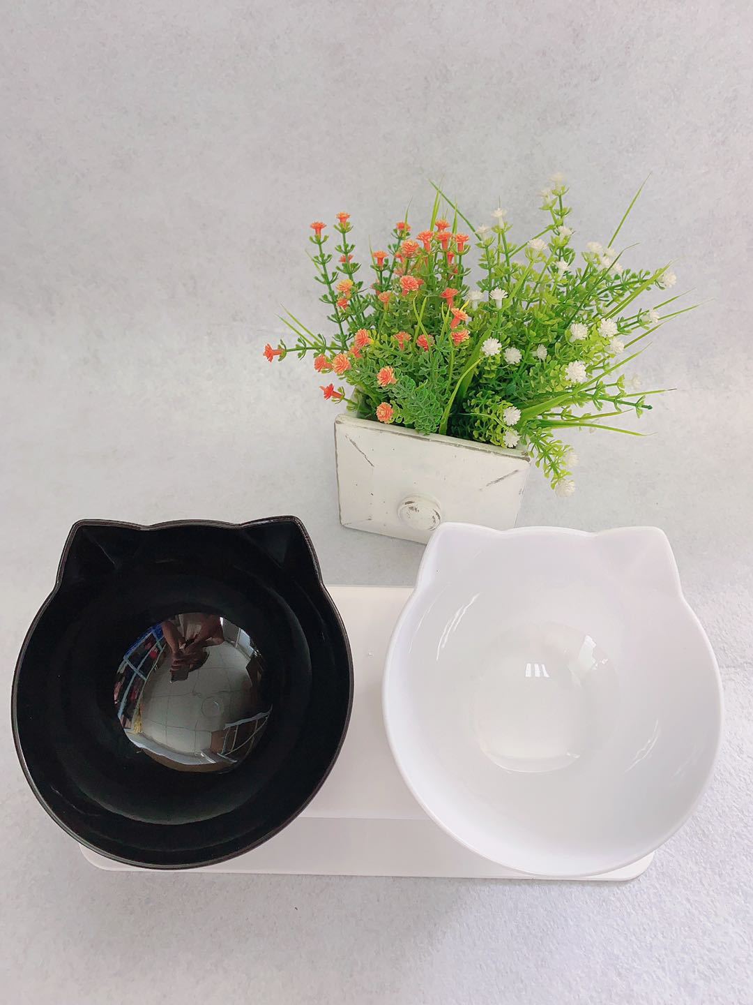 Web Based Cat Double Bowl Cat Food Bowl Protects Cervical Vertebra