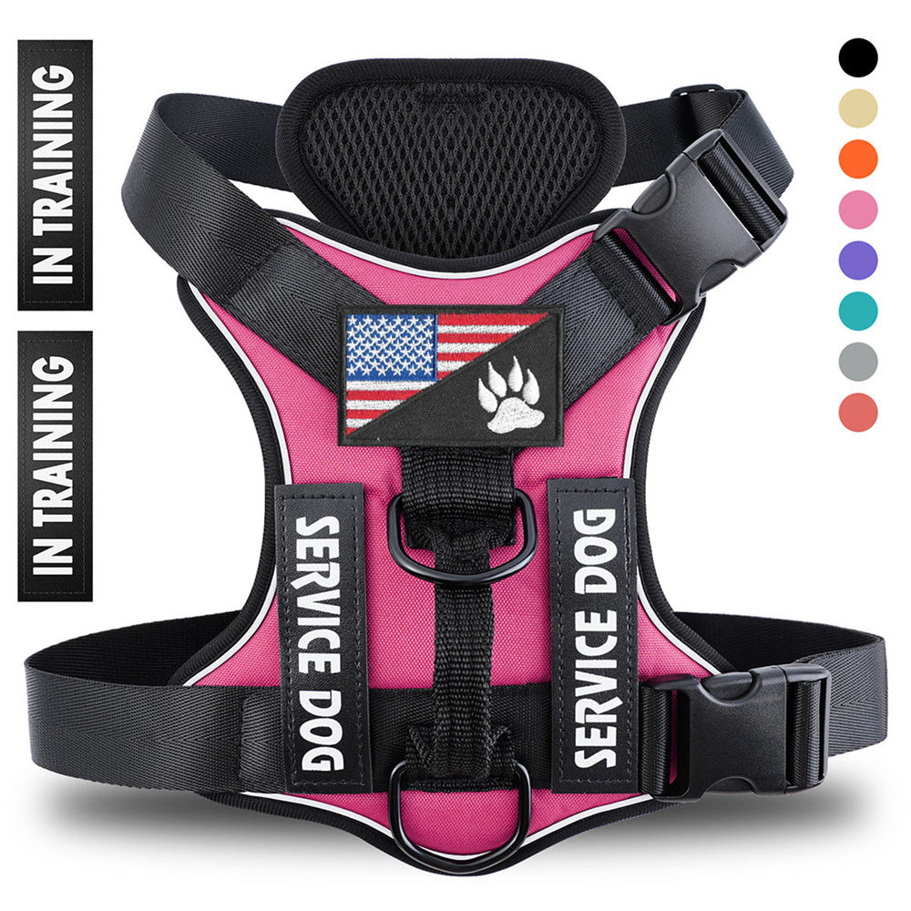 Web Based Reflective Breathable Solid Color Polyester Dog Strap