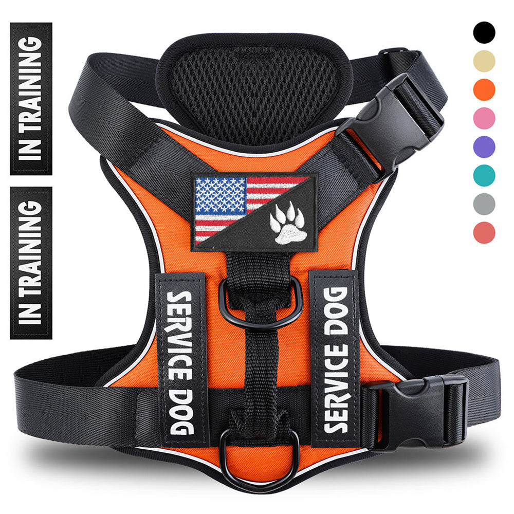 Web Based Reflective Breathable Solid Color Polyester Dog Strap