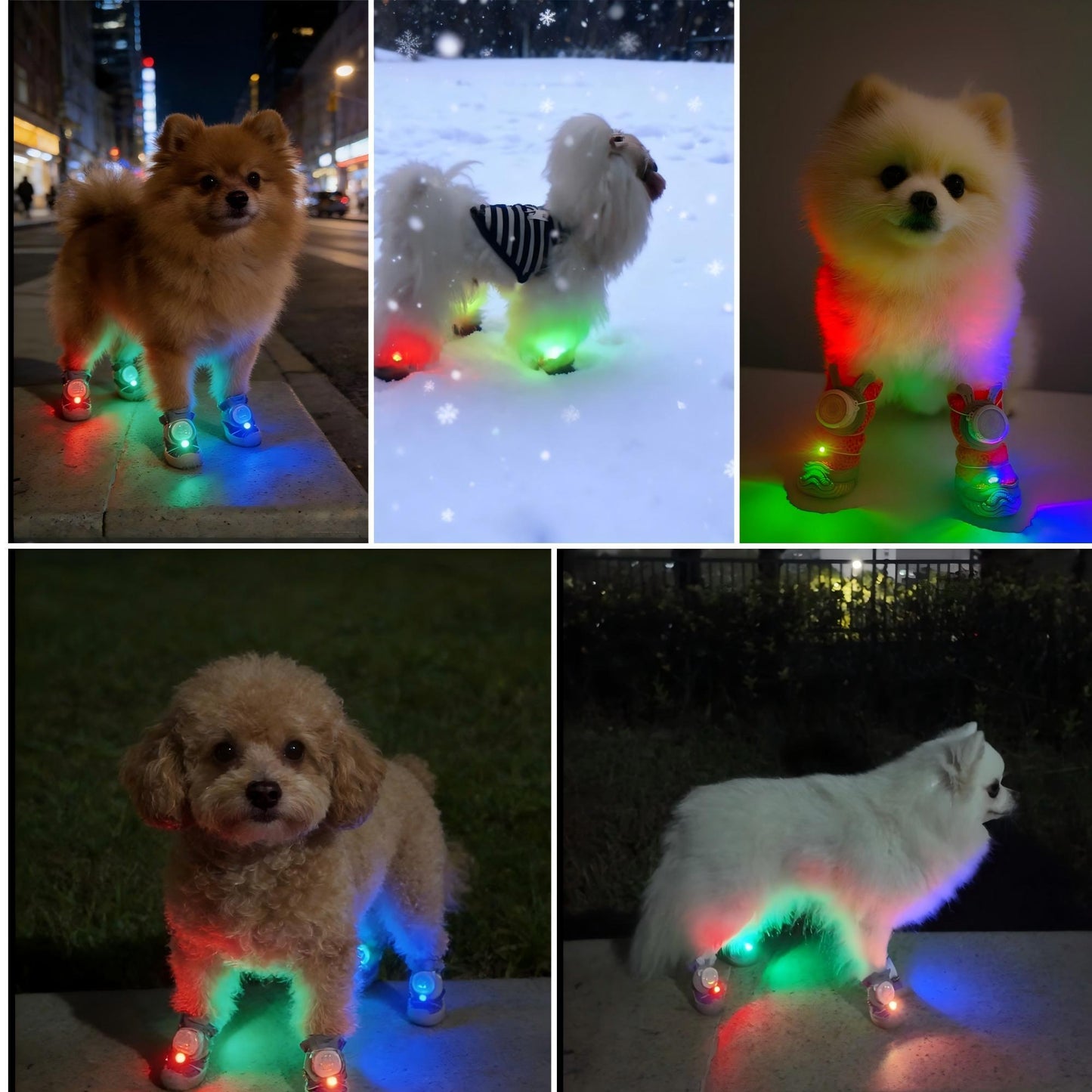 Web Based Glowing Dog Shoes 4PCS LED Light-Up Anti-Slip Paw Protector For Small Medium Dogs Night Safety Visibility Outdoor Shoes
