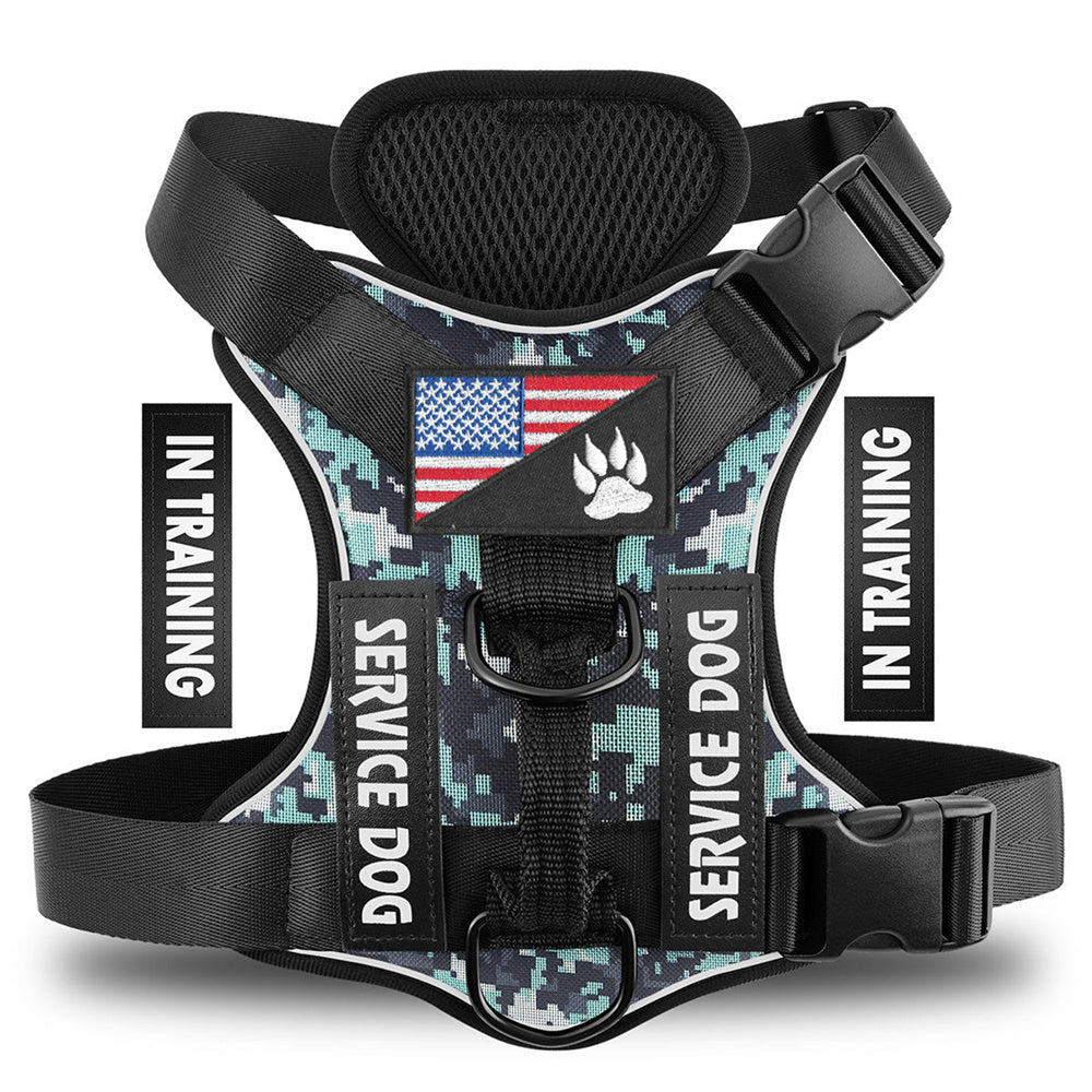 Web Based Reflective Breathable Solid Color Polyester Dog Strap