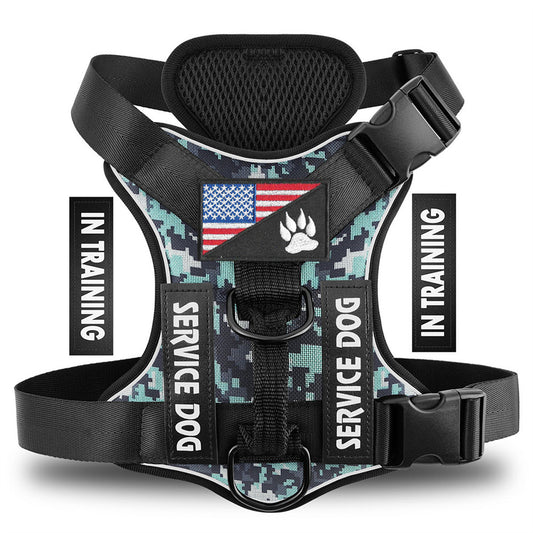 Web Based Reflective Breathable Solid Color Polyester Dog Strap
