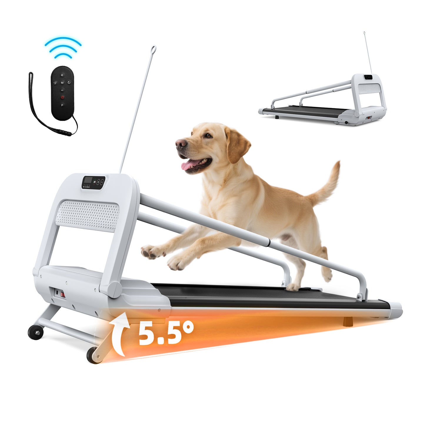 Web Based New Quiet Smart Pet Treadmill, Adjustable Speed, Perfect For Small Medium Dogs