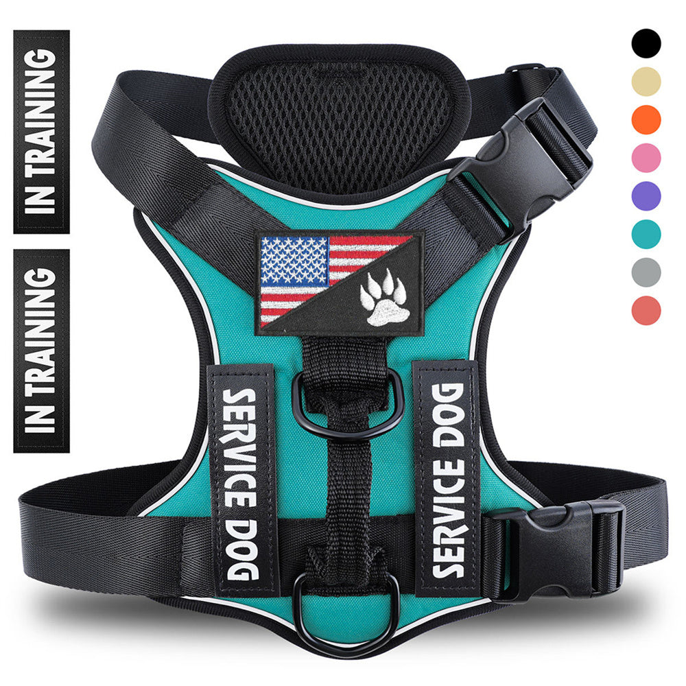 Web Based Reflective Breathable Solid Color Polyester Dog Strap